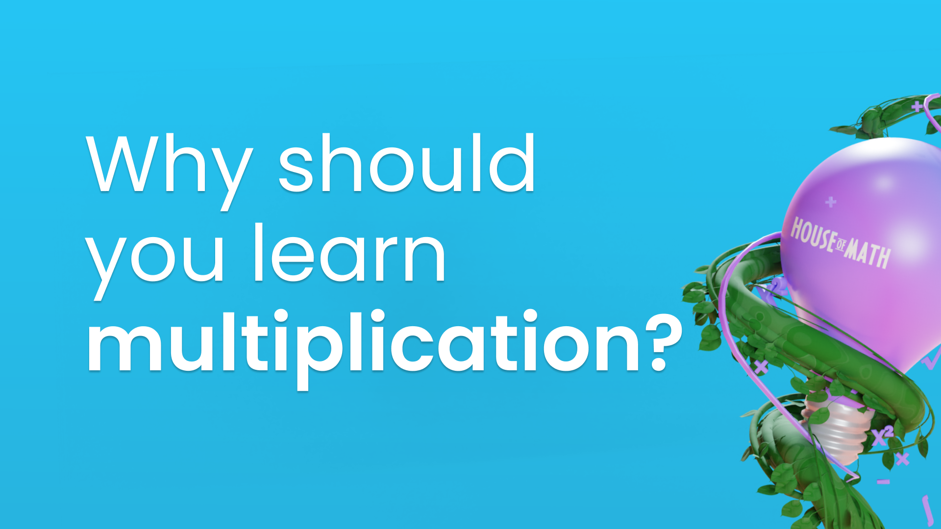 Why Should You Learn Multiplication?