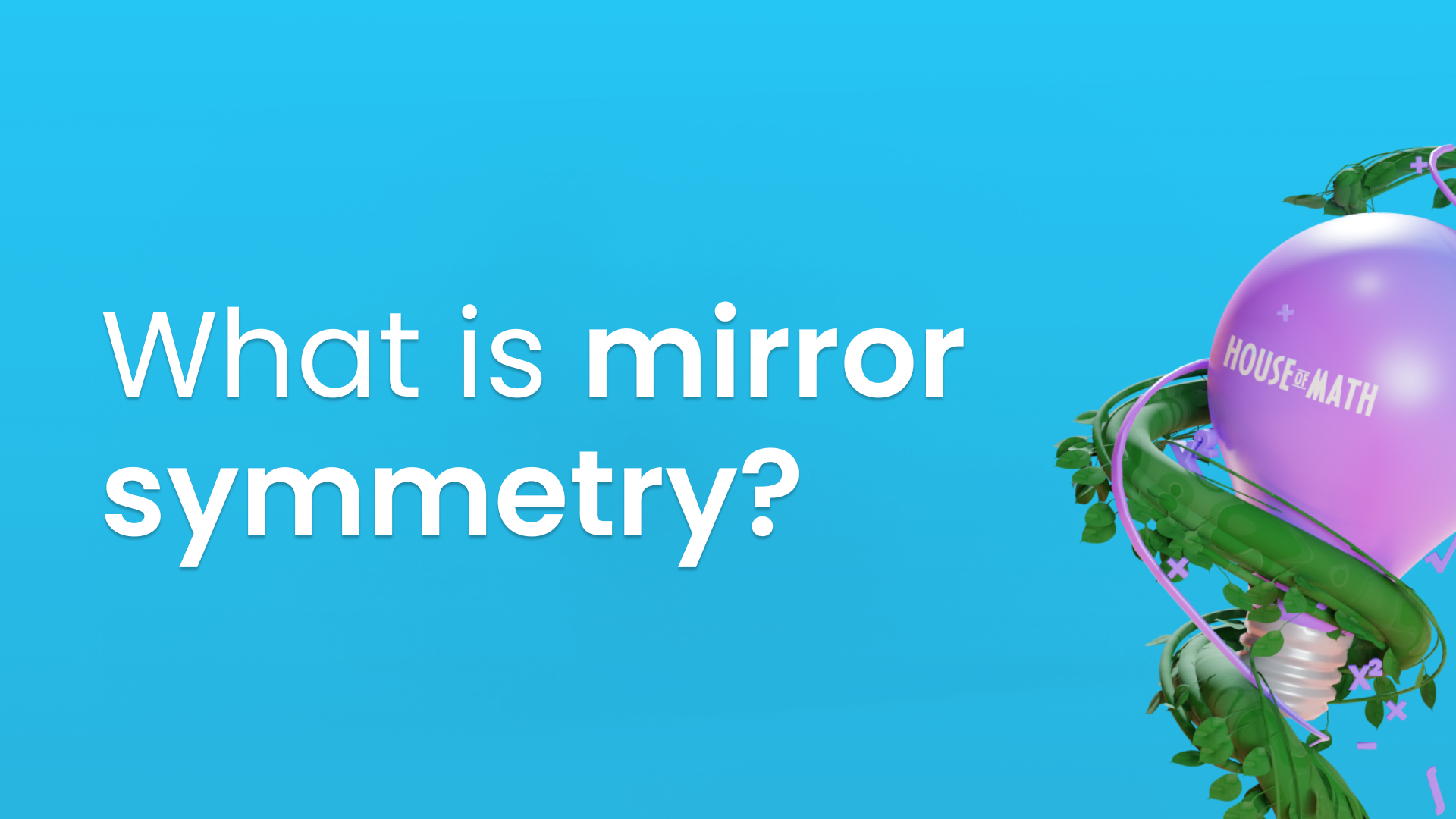 What Is Mirror Symmetry?